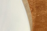 Fender American Vintage Telecaster 64 White Blonde-9.jpg